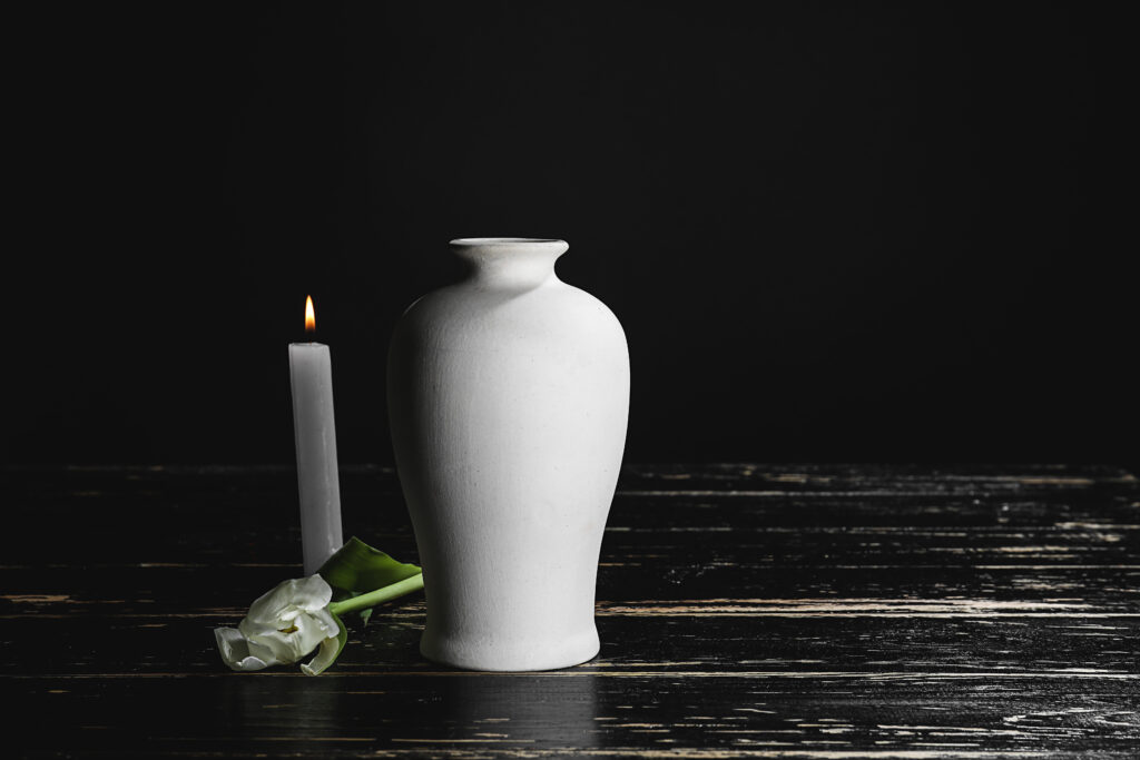 direct cremation in Jamison