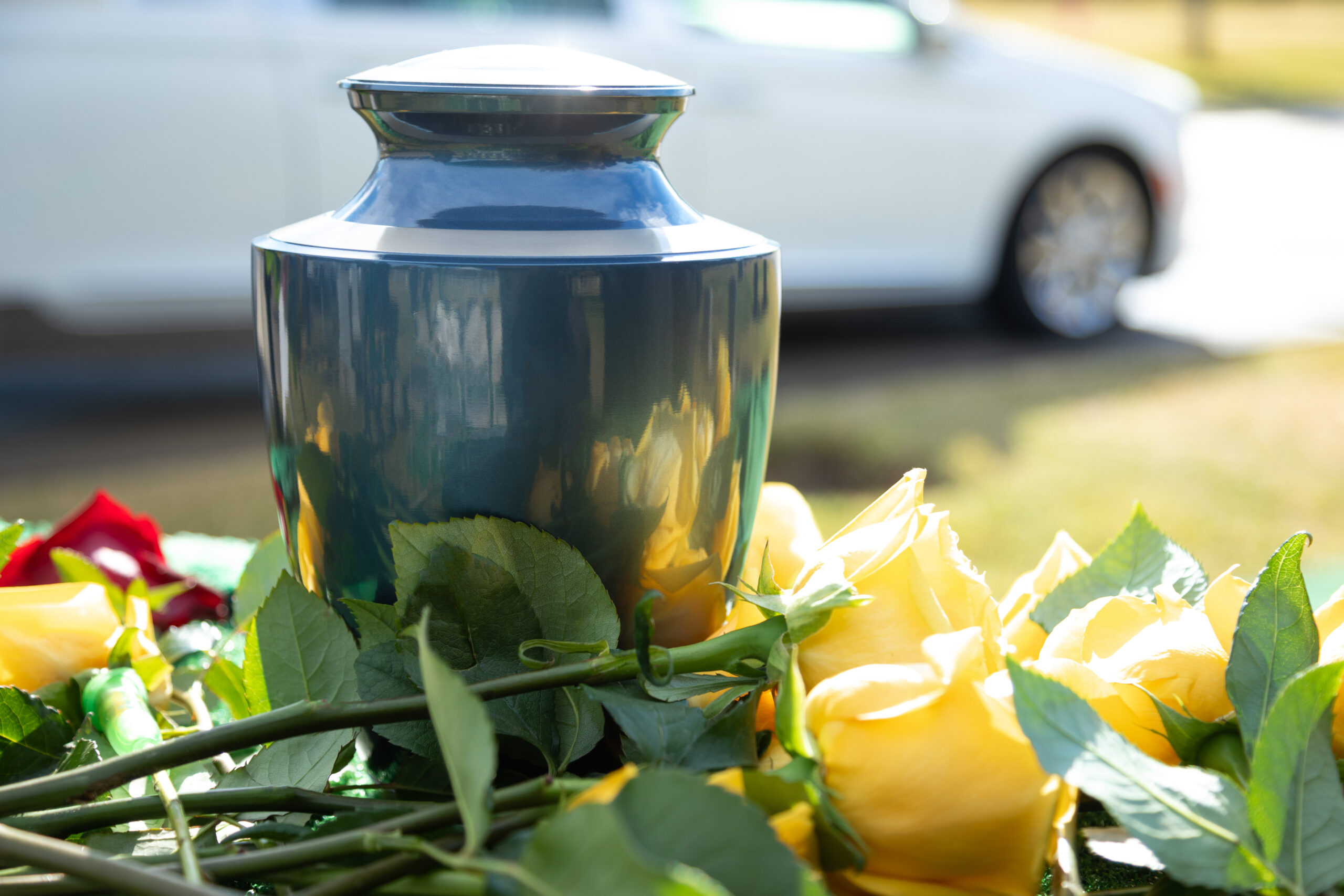 on-site cremation near New Britain