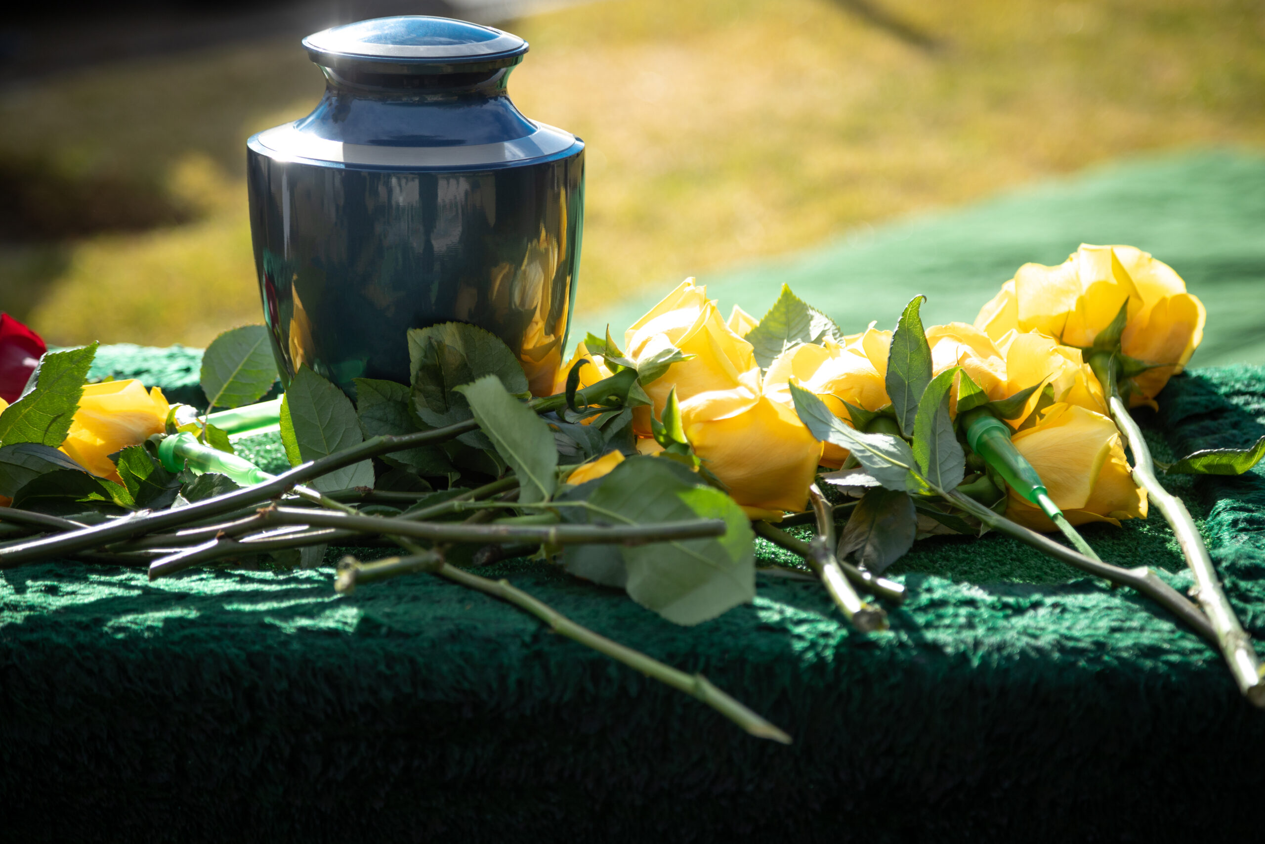 direct cremation without service in Doylestown