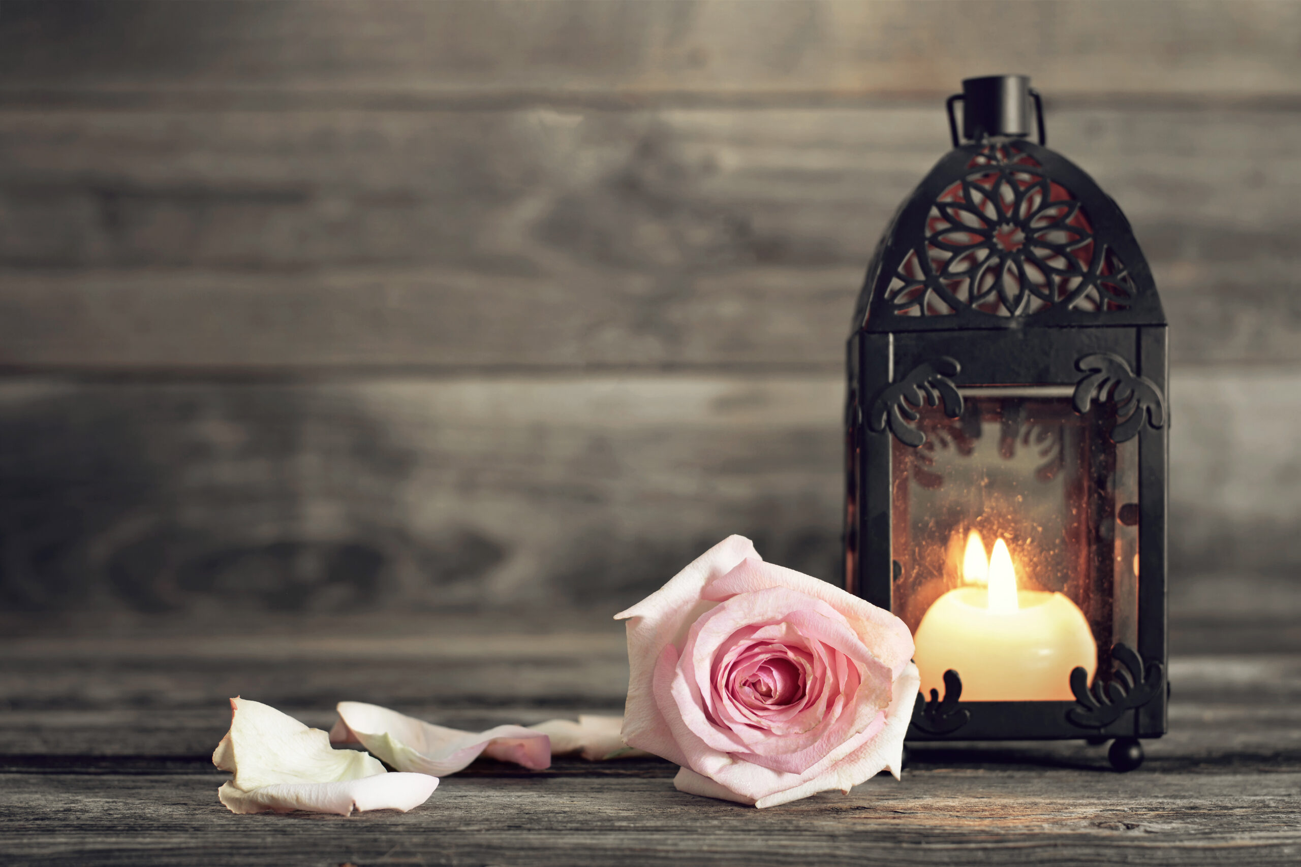 Is it better to cremate or bury